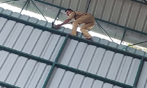 ടെന്നീസ് കോർട്ടിലെ മേൽക്കൂരയിൽ കുടുങ്ങിയ പക്ഷിയെ രക്ഷിച്ചു