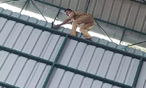 ടെന്നീസ് കോർട്ടിലെ മേൽക്കൂരയിൽ കുടുങ്ങിയ പക്ഷിയെ രക്ഷിച്ചു ടെന്നീസ് കോർട്ടിലെ മേൽക്കൂരയിൽ കുടുങ്ങിയ പക്ഷിയെ രക്ഷിച്ചു