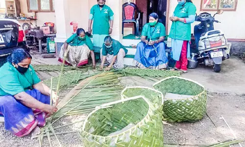 പച്ചപ്പുനിറച്ച്​ ഹരിത ബൂത്തുകൾ