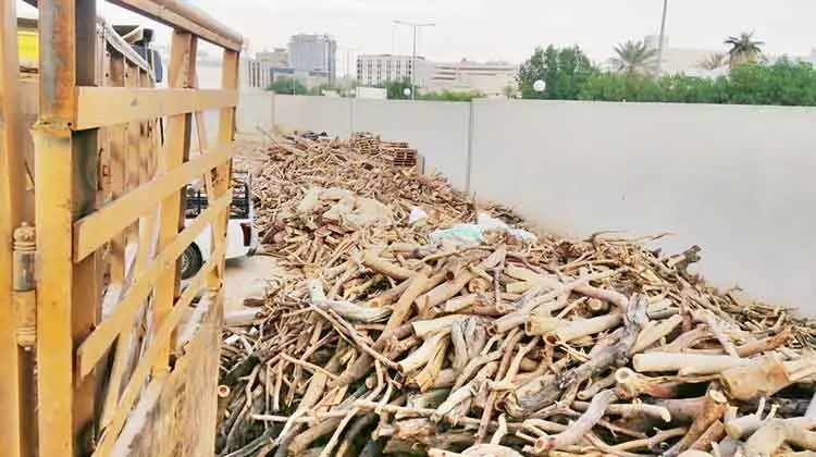 വിറകുവിൽപനക്കിടെ ഇന്ത്യക്കാരടക്കം 69 പേർ പിടിയിൽ; 20 ലക്ഷം രൂപ വരെ പിഴ ലഭിക്കാവുന്ന കുറ്റം