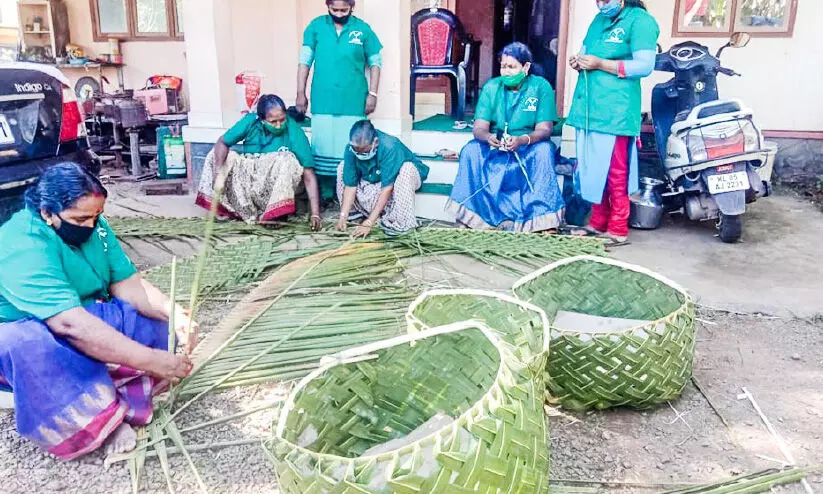 പച്ചപ്പുനിറച്ച് ഹരിത ബൂത്തുകൾ പച്ചപ്പുനിറച്ച് ഹരിത ബൂത്തുകൾ
