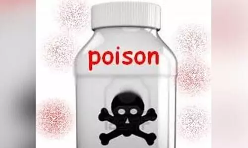 Poison was mixed in the candidate’s backyard pool