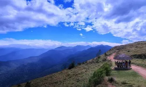 മൂന്ന് ദിവസത്തേക്ക് പൊന്മുടിയിലേക്കുള്ള രാത്രി യാത്രക്ക് വിലക്ക് മൂന്ന് ദിവസത്തേക്ക് പൊന്മുടിയിലേക്കുള്ള രാത്രി യാത്രക്ക് വിലക്ക്