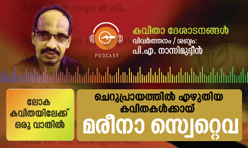 ചെറുപ്രായത്തിൽ എഴുതിയ കവിതകൾക്കായ് - മരീനാ സ്വെറ്റെവ