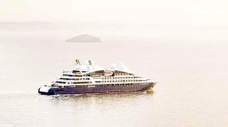 പര്യവേക്ഷണ കപ്പൽ യാത്ര നടത്താം; തിമിംഗല സ്രാവുകളെ അടുത്തുകാണാം പര്യവേക്ഷണ കപ്പൽ യാത്ര നടത്താം; തിമിംഗല സ്രാവുകളെ അടുത്തുകാണാം