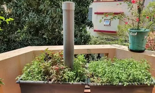 മാലിന്യം ഒഴിവാക്കാനും വളത്തിനും പൈപ്പ് കമ്പോസ്റ്റ്