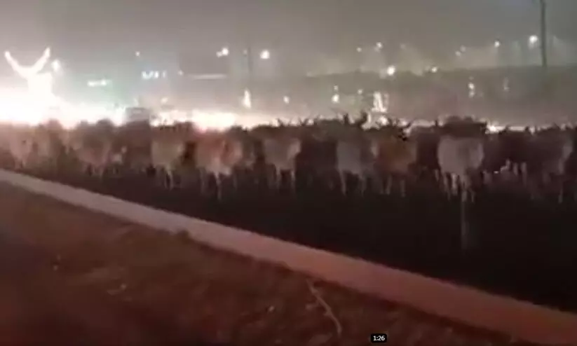 നൂറുകണക്കിന് പശുക്കളും കാളകളും; രാജസ്ഥാനിലെ കർഷകർ വരുന്നത് വെറുംകൈയോടെയല്ല -വിഡിയോ നൂറുകണക്കിന് പശുക്കളും കാളകളും; രാജസ്ഥാനിലെ കർഷകർ വരുന്നത് വെറുംകൈയോടെയല്ല -വിഡിയോ