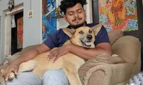 കാറിന് പിന്നില്‍ നായെ കെട്ടിവലിച്ച സംഭവം; വാഹനത്തിന്‍റെ പെര്‍മിറ്റും ഡ്രൈവറുടെ ലൈസന്‍സും റദ്ദാക്കും