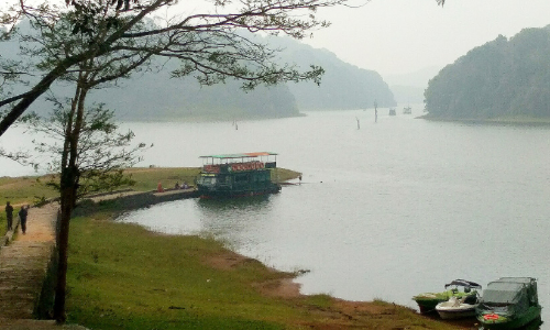 മഞ്ഞി​ൽ കുളിച്ച്​ തേക്കടി