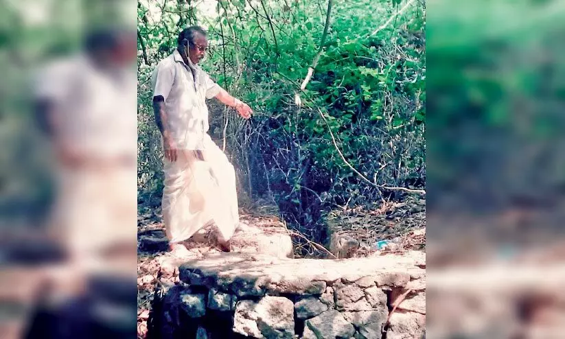 വെ​ള്ള​മെ​ത്താ​തെ നെ​ൽ​കൃ​ഷി ഉ​ണ​ക്ക് ഭീ​ഷ​ണി​യി​ൽ