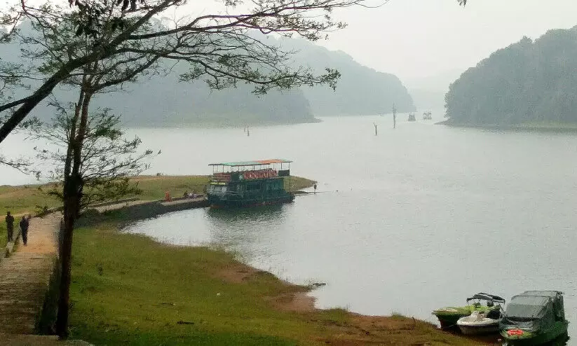 മഞ്ഞി​ൽ കുളിച്ച്​ തേക്കടി