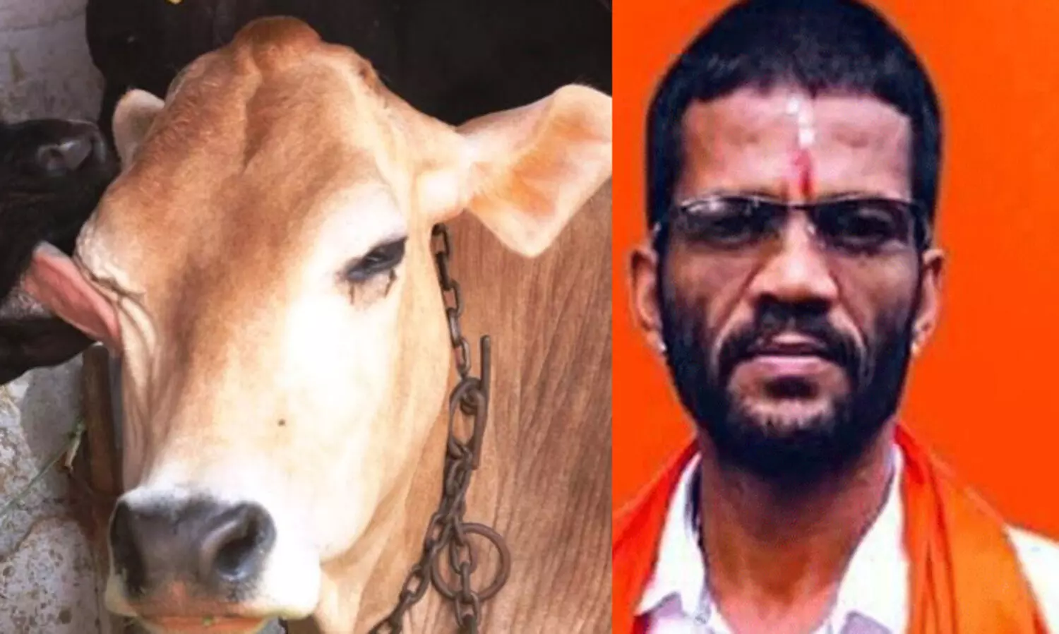 കർണാടകയിൽ പശുക്കളെ മോഷ്​ടിച്ച്​ മാംസം വിറ്റ ബജ്​രംഗ്ദൾ നേതാവ് പിടിയിൽ