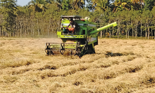 കൊയ്ത്തുയന്ത്രങ്ങൾ കിട്ടാനില്ല; കർഷകർ പ്രതിസന്ധിയിൽ