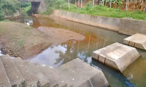 ചെക്ക്ഡാമുകൾ നിർമിക്കാൻ പദ്ധതിയുണ്ട്; സംരക്ഷിക്കാനാളില്ല