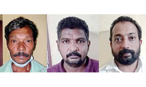 തെങ്ങുകൾ മുറിച്ച സംഭവം:  പൊലീസിനെ ആക്രമിച്ച മൂന്നുപേർ അറസ്​റ്റിൽ