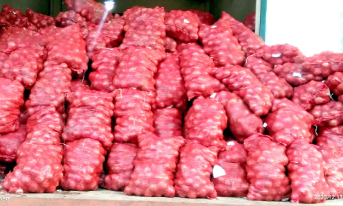 ഈജിപ്തിനുപിന്നാലെ മൊറോക്കോ സവാളയും എത്തി