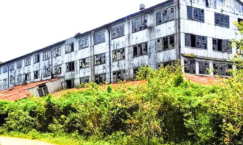 പീരുമേട് ടീ കമ്പനി ഉപേക്ഷിച്ചിട്ട്​ രണ്ട് ദശാബ്​ദം