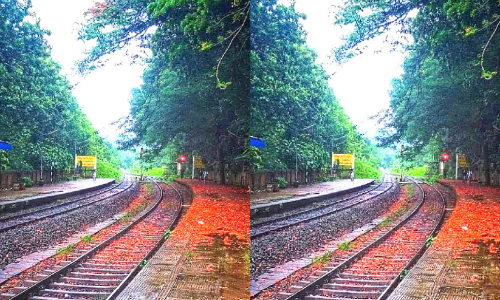 റെയിൽവേയുടെ ഫേസ്​ബുക്ക് പേജിൽ ആവണീശ്വരം സ്​റ്റേഷ​െൻറ മനോഹാരിത