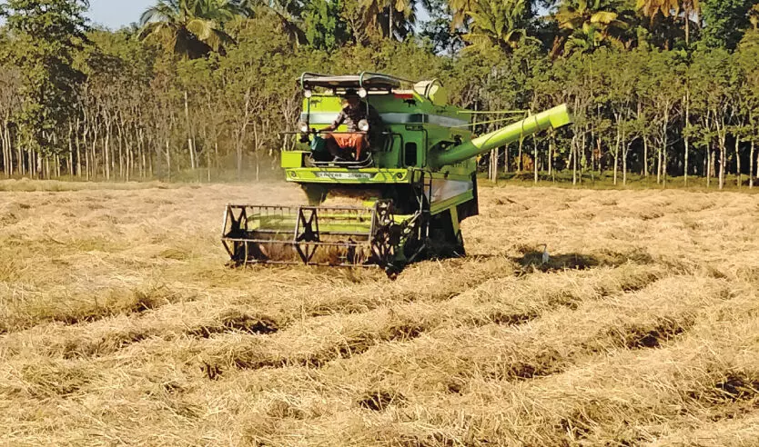 കൊയ്ത്തുയന്ത്രങ്ങൾ കിട്ടാനില്ല; കർഷകർ പ്രതിസന്ധിയിൽ കൊയ്ത്തുയന്ത്രങ്ങൾ കിട്ടാനില്ല; കർഷകർ പ്രതിസന്ധിയിൽ