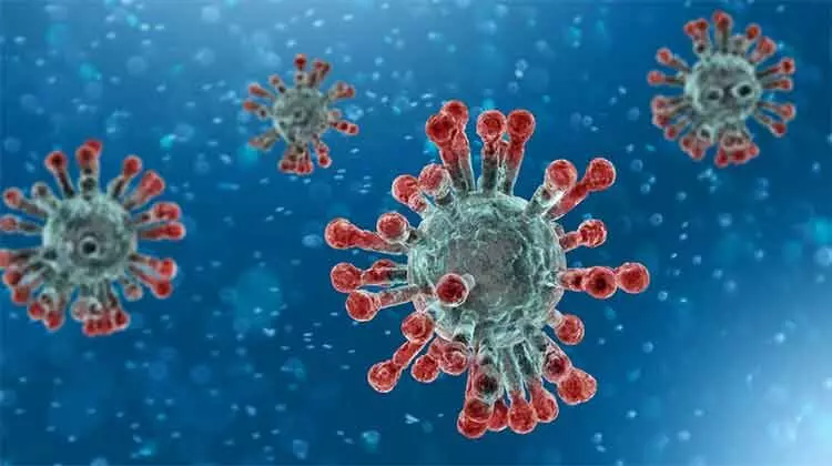 കോ​വി​ഡ്​:  174 പു​തി​യ കേ​സു​ക​ൾ മാ​ത്രം; മ​ര​ണ​മി​ല്ല