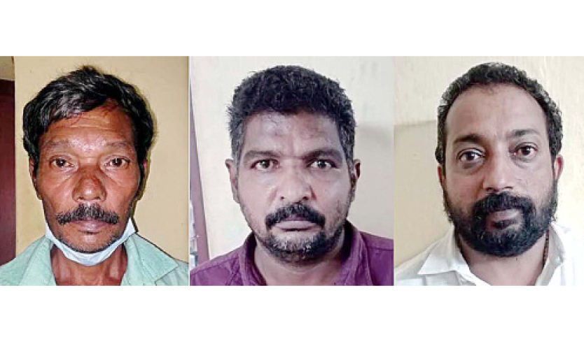 തെങ്ങുകൾ മുറിച്ച സംഭവം: പൊലീസിനെ ആക്രമിച്ച മൂന്നുപേർ അറസ്റ്റിൽ തെങ്ങുകൾ മുറിച്ച സംഭവം: പൊലീസിനെ ആക്രമിച്ച മൂന്നുപേർ അറസ്റ്റിൽ