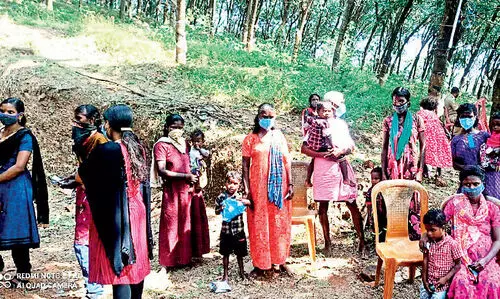 സ​മ്മ​തി​ദാ​നാ​വ​കാ​ശം വി​നി​യോ​ഗി​ക്കാ​ന്‍ ആ​ദി​വാ​സി​ക​ള്‍ കാ​ടി​റ​ങ്ങി