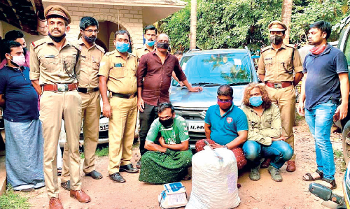 15 കിലോ കഞ്ചാവുമായി മൂന്നുപേർ പിടിയിൽ