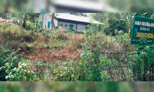 നനക്കാൻ ആളില്ല; മ​ങ്ക​ര​യി​ലെ ശ​ല​ഭോ​ദ്യാ​നം ഉ​ണ​ങ്ങി