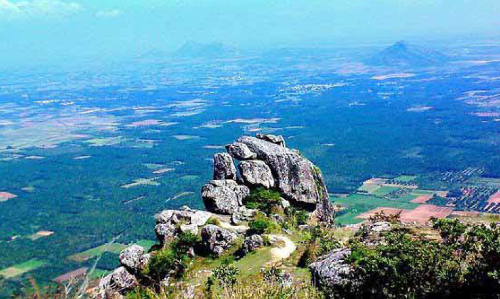 ഞായറാഴ്​ചയെത്തിയത്​ 4000 പേർ; രാമക്കൽമേട്ടിലേക്ക്​ സഞ്ചാരികൾ ഒഴുകുന്നു