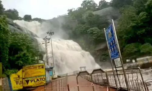 സഞ്ചാരികൾക്കായി കുറ്റാലം തുറന്നു; അ​രു​വി​ക​ളി​ൽ കു​ളി​ക്കാ​ൻ അ​നു​മ​തി