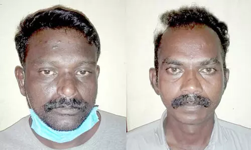 തെ​ങ്ങു​മു​റി കേ​സ്: ര​ണ്ടു​പേ​ർ​കൂ​ടി അ​റ​സ്​​റ്റി​ൽ