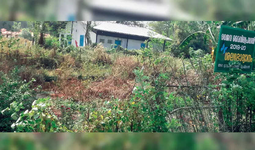 നനക്കാൻ ആളില്ല; മ​ങ്ക​ര​യി​ലെ ശ​ല​ഭോ​ദ്യാ​നം ഉ​ണ​ങ്ങി