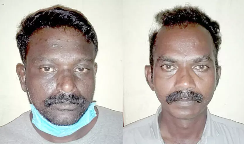 തെ​ങ്ങു​മു​റി കേ​സ്: ര​ണ്ടു​പേ​ർ​കൂ​ടി അ​റ​സ്​​റ്റി​ൽ