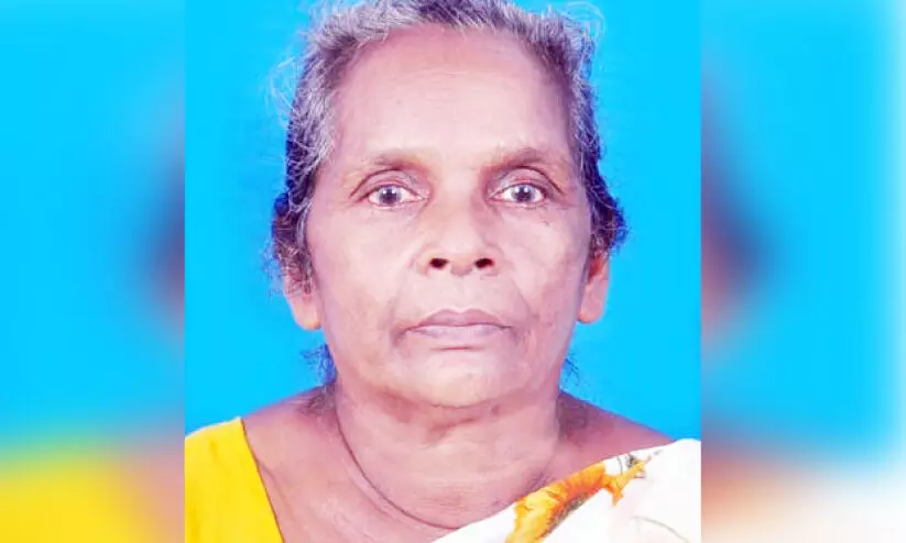 വയോധികയുടെ കൊലപാതകം; സാക്ഷിപറഞ്ഞതിെൻറ വൈരാഗ്യമെന്ന് സൂചന വയോധികയുടെ കൊലപാതകം; സാക്ഷിപറഞ്ഞതിെൻറ വൈരാഗ്യമെന്ന് സൂചന