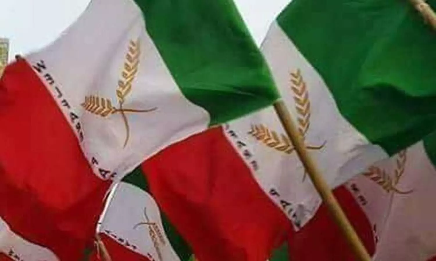 സർവ്വകലാശാല പിൻവാതിൽ നിയമനം: യുവാക്കളോട് ഇടത് സർക്കാരിന്റെ കൊടും ചതി - വെൽഫെയർ പാർട്ടി