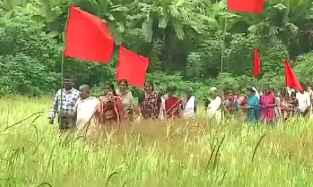 കീഴാറ്റൂരില് വയല്ക്കിളികള്ക്ക് തോല്വി കീഴാറ്റൂരില് വയല്ക്കിളികള്ക്ക് തോല്വി