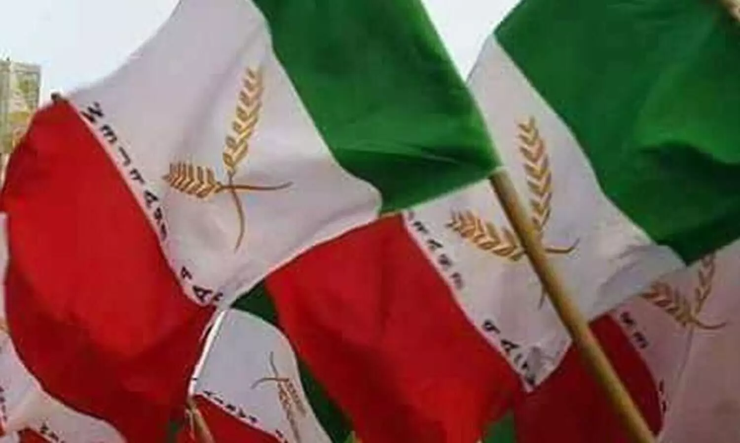 Welfare Party reaps the benefits; and sdpi