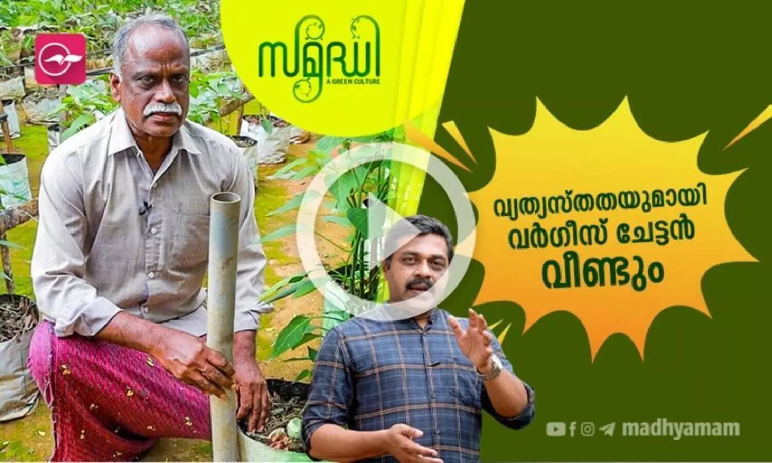 ഗ്രോബാഗിൽ മണ്ണ്​ വേണ്ട; കരിയില മതി കാച്ചിലും മുളകുമൊക്കെ തഴച്ച്​ വളരും