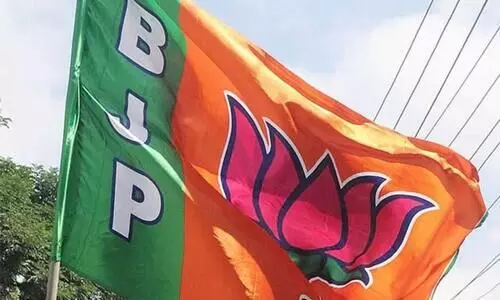 panchayat election 2020, Unexpectedly, the NDA, panchayat election 2020, Unexpectedly, the NDA,