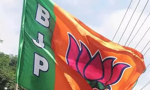 panchayat election 2020, bjp lost seat in wayanad panchayat election 2020, bjp lost seat in wayanad