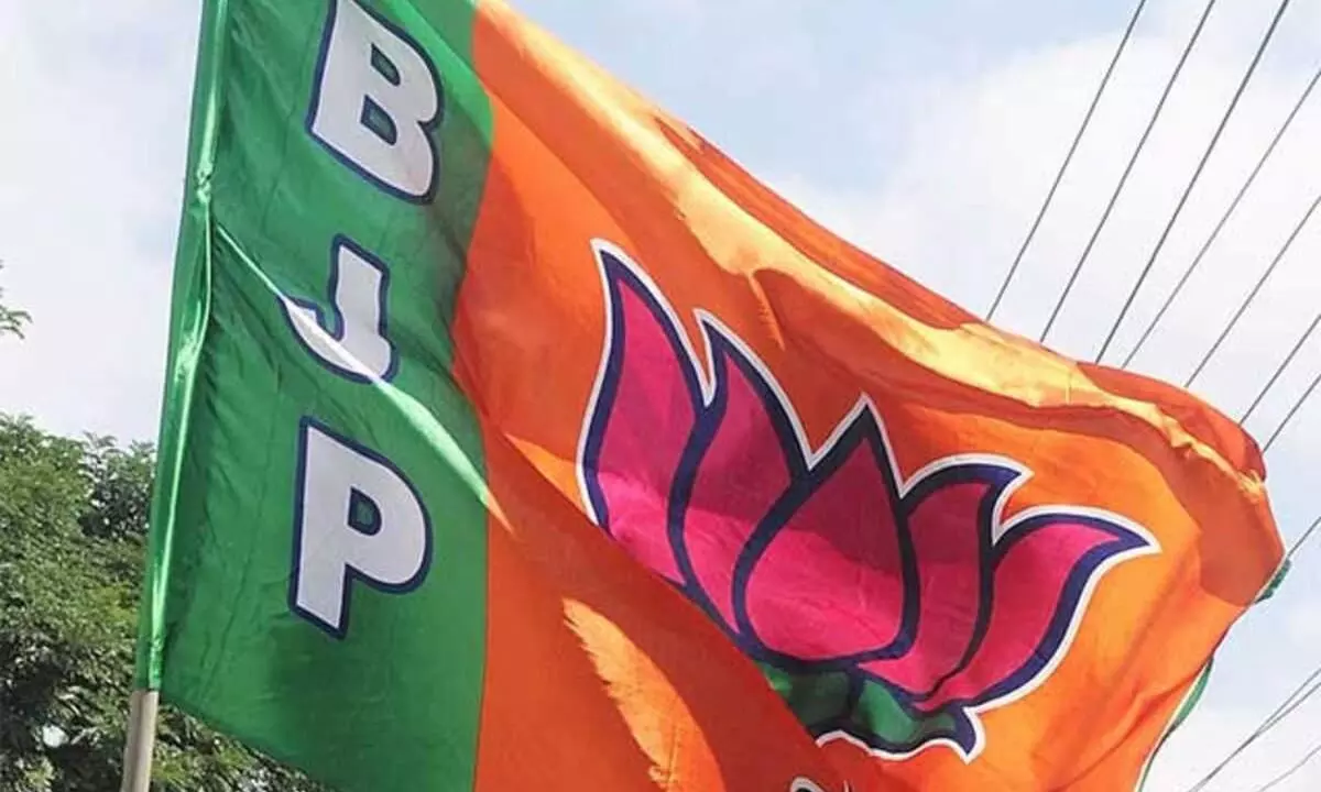 panchayat election 2020, Unexpectedly, the NDA, panchayat election 2020, Unexpectedly, the NDA,