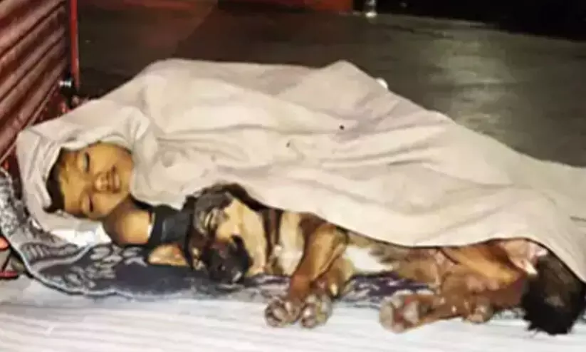 തെരുവിൽ നായ്ക്കൊപ്പം പുതച്ചുമൂടി ഉറങ്ങിയ ബാലനെ ദത്തെടുക്കാൻ സന്നദ്ധത അറിയിച്ച് നിരവധി കുടുംബങ്ങൾ തെരുവിൽ നായ്ക്കൊപ്പം പുതച്ചുമൂടി ഉറങ്ങിയ ബാലനെ ദത്തെടുക്കാൻ സന്നദ്ധത അറിയിച്ച് നിരവധി കുടുംബങ്ങൾ