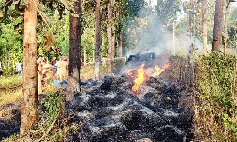 വൈ​ദ്യു​തി തൂ​ണ്​ വീ​ണ് വൈ​ക്കോ​ൽ ലോ​റി ക​ത്തി​ന​ശി​ച്ചു