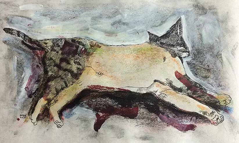 ബി.പി.എൽ ഫീമെയിൽ ക്യാറ്റ് -കവിത