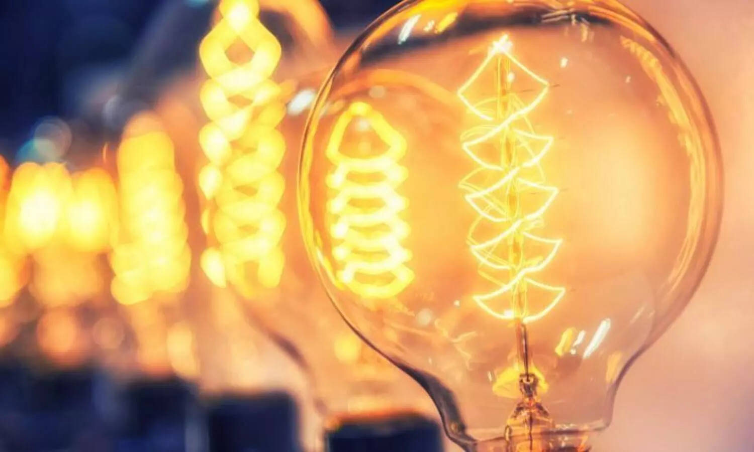 land acquisition has not been completed and the Mankulam hydropower project is blocked