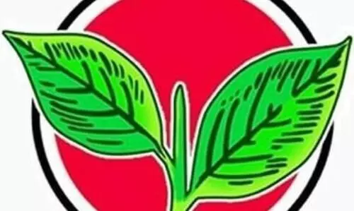 നിയമസഭ തെരഞ്ഞെടുപ്പ്​ നേരത്തേ നടത്തണമെന്ന്​ അണ്ണാ ഡി.എം.കെ