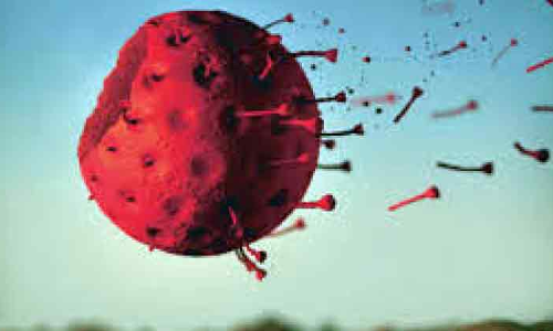 പുതിയ കോവിഡിനെ നേരിടാൻ കേരളവും ഒരുങ്ങുന്നു