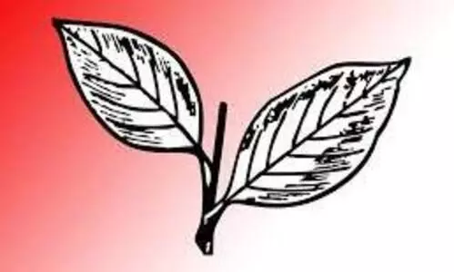 കേ​ര​ള കോ​ൺ​ഗ്ര​സ്​ എ​മ്മി​ൽ ചേ​ർ​ന്നു