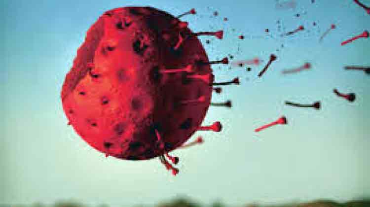 പുതിയ കോവിഡിനെ നേരിടാൻ കേരളവും ഒരുങ്ങുന്നു പുതിയ കോവിഡിനെ നേരിടാൻ കേരളവും ഒരുങ്ങുന്നു