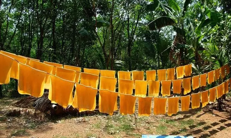 covid: Rubber production and consumption are down, says board